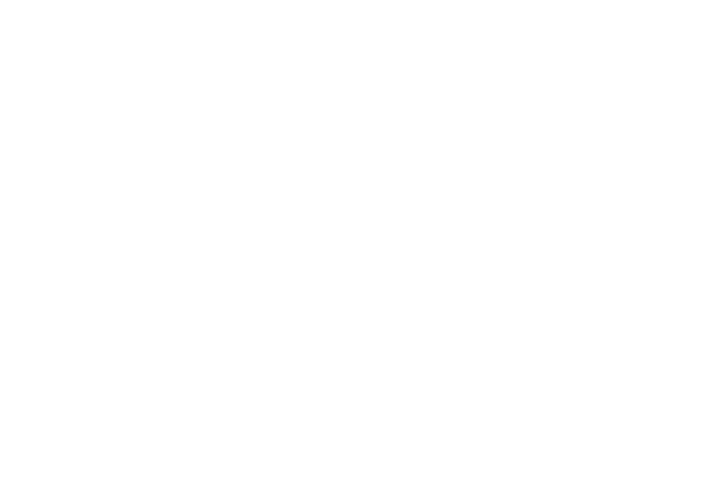 AFQ Holding